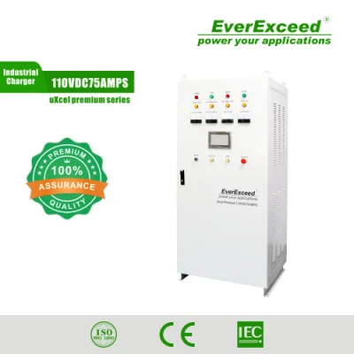 Standard-Netz/PV Everexceed Hersteller von 1- oder 3-phasigen Umspannwerk-Batterieladegeräten
